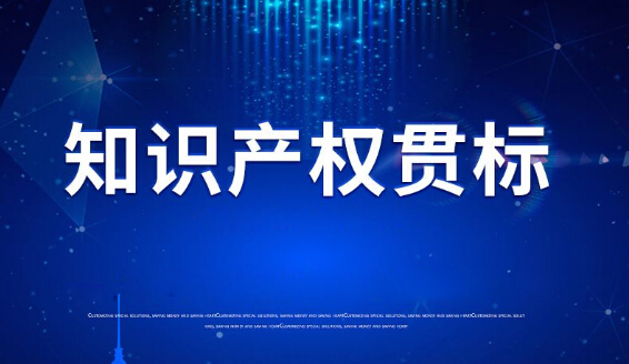 九游会·J9-官方网环保顺利通过2020知识产权管理体系认证